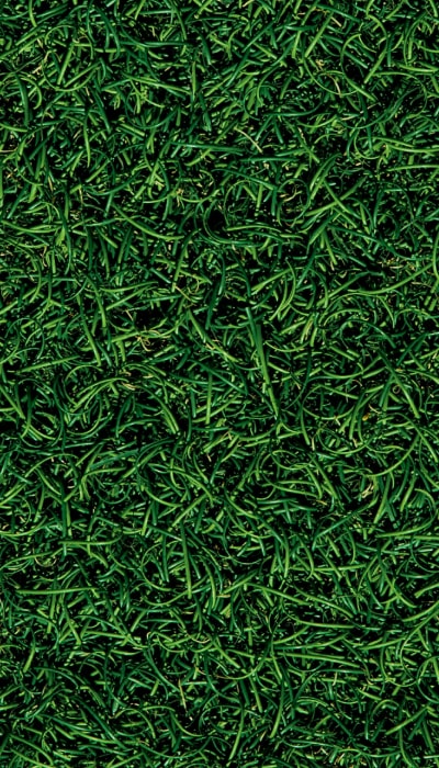 How Village Green Achieved Full Household Coverage with CTV success story background