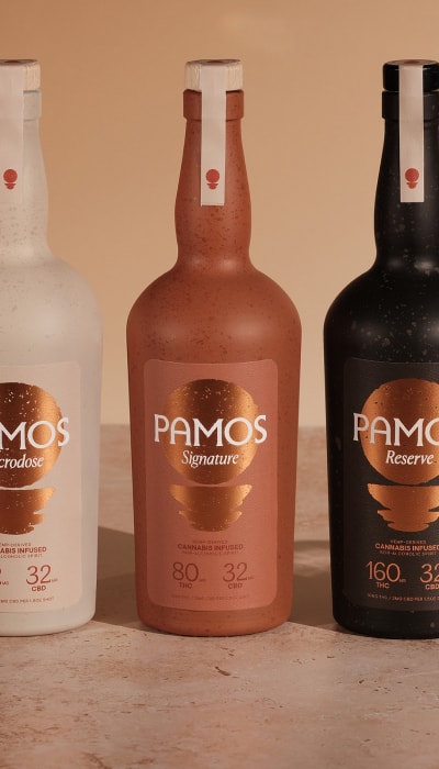 How a Disruptor Brand Hit CPS <$2 success story background